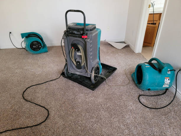 Trusted Ogden Dunes, IN Water damage restoration Experts