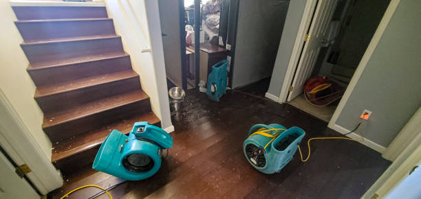 Best Water damage restoration insurance claims  in Ogden Dunes, IN