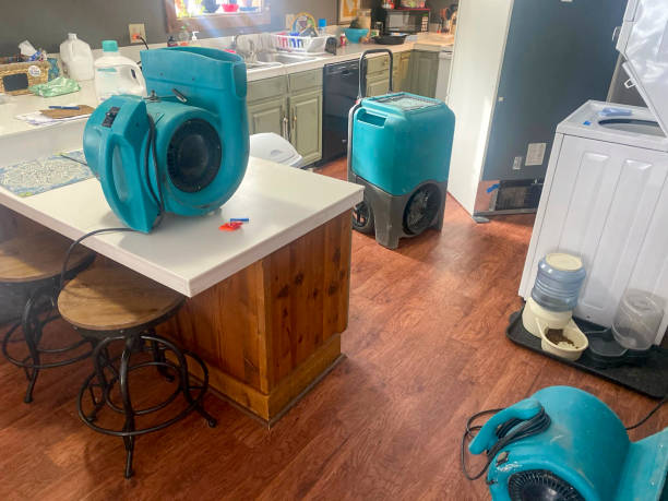 Best Fire Damage Restoration  in Ogden Dunes, IN