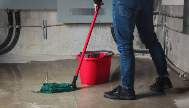 Best Flooded house restoration  in Ogden Dunes, IN