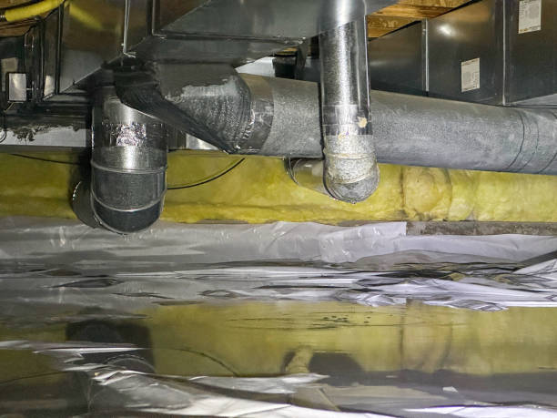 Best Sewage cleanup and water damage restoration  in Ogden Dunes, IN