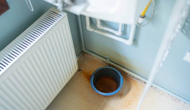 Best Water damage mitigation services  in Ogden Dunes, IN