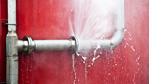 Best Professional water damage repair  in Ogden Dunes, IN