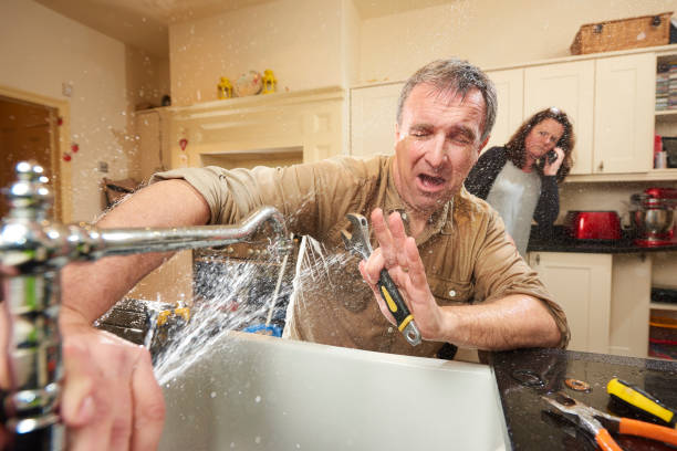 Best Water damage restoration near me  in Ogden Dunes, IN
